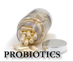 Image result for probiotics