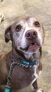 She Grew Old In A Shelter Waiting For A Family — Then ...