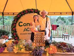 Alcaldía de Medellín - News update