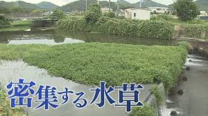 Yahoo!ニュース - News update