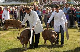 Image result for The Royal Berkshire Show
                        2015