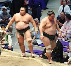大相撲 結果 速報