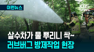 KBS 뉴스 - News update