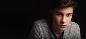 Hasil gambar untuk shawn mendes