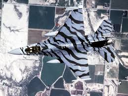 Hasil gambar untuk pesawat tempur canggih