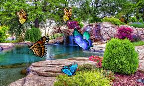 Image result for animated butterflies wallpaper
