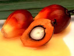 Image result for CRUDE PALM OIL