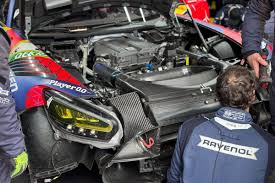Trend Google: max verstappen