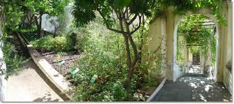 Risultati  immagini per giardino minerva salerno