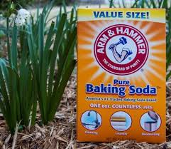 Top 10 Công dụng của baking soda trong việc làm đẹp - toplist.vn