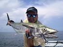 Kingfish trolling lures