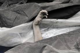 Hasil gambar untuk FOTO-FOTO KORBAN GUNUNG API