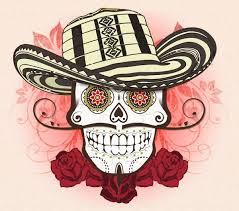 Image result for mayo now logo