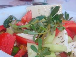 Resultado de imagem para beldroega