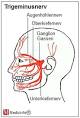 Trigeminusneuralgie ursachen