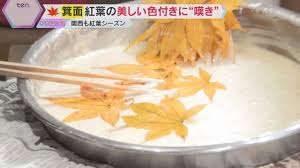 News source: Yahoo!ニュース