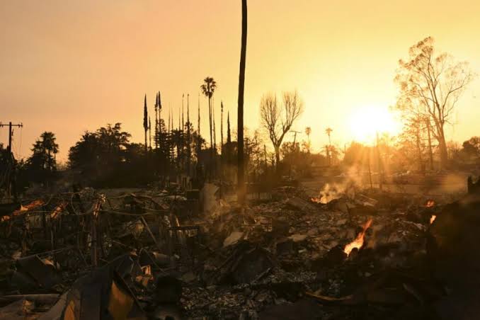 Nikki High turns her Pasadena bookstore into a mutual aid hub during the Eaton fire in California