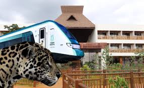 Tren Maya: qué incluye y cuánto cuesta el paquete Tierra del Jaguar