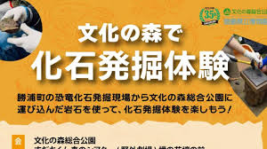 Yahoo!ニュース - News update
