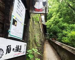 猫の細道 尾道市の画像