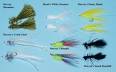 Fly Fishing for Smallmouth Bass by Byron Begley