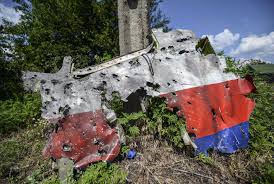 Image result for mh17 wings