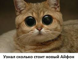 Image result for ���������� ���� ��������
