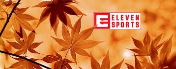 satkurier.pl - News update