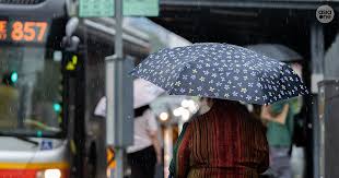 Thundery showers on most afternoons in first 2 weeks of May: Weatherman, Singapore News