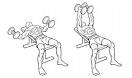 How To: Dumbbell Flys On A Flat Bench -