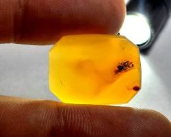 Image of سنگ پادزهر زرد