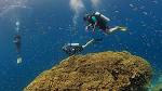 Scuba Jobs, Employment in Florida m