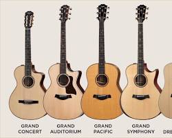 Taylor Guitarsの画像