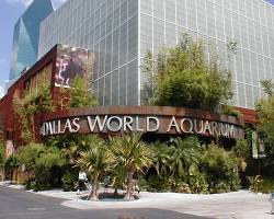 Immagine di Dallas World Aquarium a Dallas