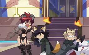 Bildergebnis für macademi wasshoi