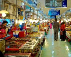 Jagalchi Fish Market, Busan