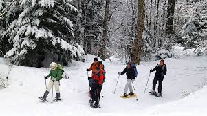 R�sultat de recherche d'images pour "randonn�e en raquettes Is�re"