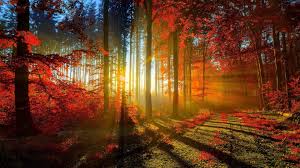 Image result for Amazing HD Nature Wallpapers For Desktop