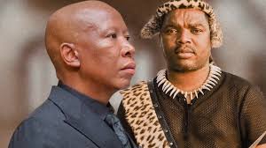 Eff Malema Defamation Claim Mchunu : ce qu'il faut savoir — image 2