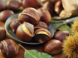 Risultati immagini per CARTOCCI  DI CASTAGNE