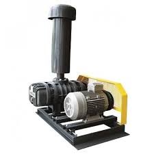 روتس بلوئر لانگ تک