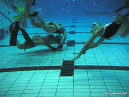 Image result for underwater rugby cali colombia 2015