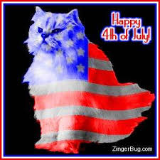 Image result for July 4th
