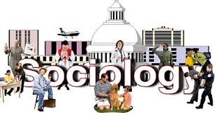Image result for sociology