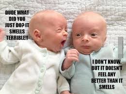 Image result for bangla funny comments