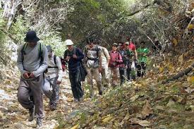 Image result for ‫گردشگر‬‎
