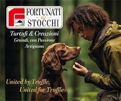Corriere dell’Umbria - News update