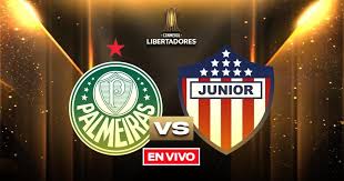 Palmeiras Vs Junior