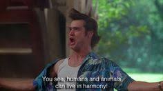 Ace Ventura on Pinterest | Jim Carrey, Detective and Movie Quotes via Relatably.com