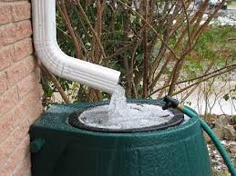 Image result for rainwater harvesting images real